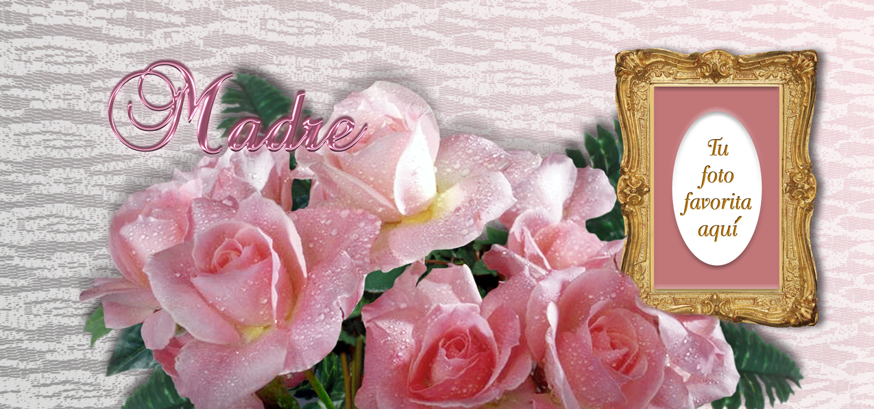 Bouquet Of Roses Pink Pink Madre(Spanish)